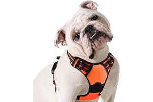Eagloo Pettorina Cane Taglia Media, Pettorina ad h, Pettorina Antifuga Cane, Pettorina Anti Tiro per Cani con Doppio Gancio, Imbracatura Robusto e Regolabile per Addestramento, M, Arancio