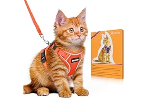Halypet Cat Harness and Leash Set [MAX Safety 4th-Gen Upgrade] Escape Proof Adjustable Cat Leash Comfortable Soft Vest Easy to Wear Kitten Harness with Reflective Strip for Cats Walking, Orange S