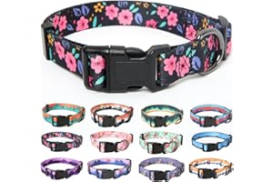 HEELE Collare per Cani con Motivi Colorati Unici, Collari Morbidi, Facili da Regolare e Durevoli Colletto per Cane Cuccioli, Cani di Piccola, Media e Grande Taglia, Fiori, M