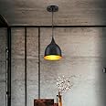 GreyWings Aluminium Hanging Shade Light, Black, Pack of 1
