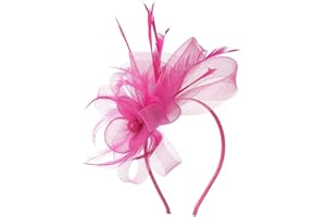 Hotstylezone Bead Loop Feather Fascinator On Headband For Women Wedding Ascot Races (fuchsia, one size)