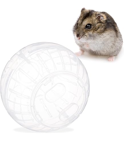 2 STÜCK HAMSTERBALL-AUTO – Transparent, Mit 3 Trainingsmodi, Für Hamster & Kleintiere