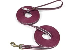 Wisedog Burgundy 3m Reflective Long Line Lead for Dogs - Lightweight Dog Leads with Strong Grip Anti-Slip Rubbers - Extra Long Leash for Indoor and Outdoor Activities