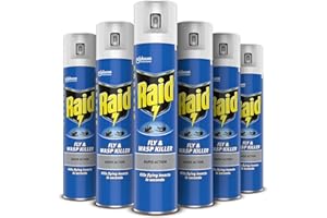 Raid Fly and Wasp Killer 300 ml (Pack of 6)