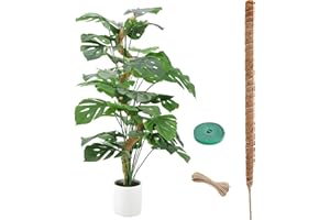 Tutores para Plantas Monstera 120 cm Palo para Plantas Trepadoras, PRZRAO Tutor de Musgo, Moss Stick, Palo Tutor Monstera, Tutor de Coco, Soporte para Plantas de Tótem, Estacas de Coco Apilables