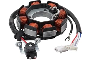 WOOSTAR 8 Coil 8 Wire Magneto Stator Replacement for YBR125 XT125 Motorcycle