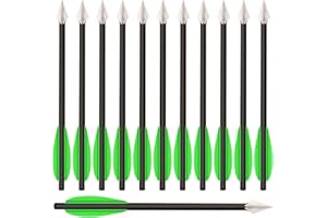 WANVZMR 6,3" Carbon Armbrust Bolzen Pfeile mit Jagdspitzen für 50-80lbs Pistolenarmbrust Präzisionsziel, Mini Armbrustpfeile Pistole Armbrust Carbon Bolzen für Schießübungen und kleine Jagd