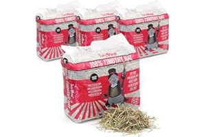 HAYPIGS 1kg (x4) 100% First Cut Timothy Hay for Guinea Pigs Feeding - Hay for Rabbits and for Guinea Pig Hay - Eco Bag of Feeding Hay for Chinchilla Food and Degu Food