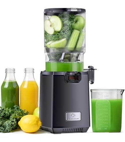 Fentic Slowjuicer – Elektrische Fruitpers voor Groente en Fruit – Horizontale Slow Juicer met Reverse Functie – Stille en Krachtige Motor - Sapcentrifuge met Pulp- en Sapbeker