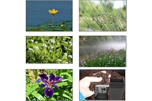 Lincolnshire Pond Plants Ltd - Pond Starter & Top up Packs - Oxygenating - Compost and Pots (XS)