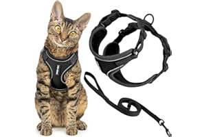 Best Pet Supplies Voyager Ensemble Harnais et Laisse Anti-Fugue pour Chat avec Coutures réfléchissantes, poignée en néoprène de 1,5 m, Convient aux Chats, Chatons de Petite, Moyenne et Grande Taille,