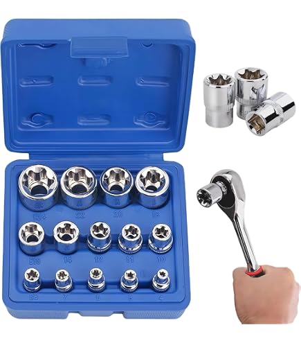 Jeu De 14 Douilles Torx Externes E4 à E24 - Chrome Vanadium, Coffret Rangement