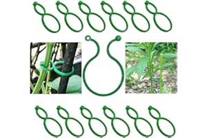 Taasmoog 100 Stück Pflanzenclips, Wandbefestigung für Pflanzen, Kletterpflanze Befestigungsklammern für Pflanzen Sicherung Unterstützt