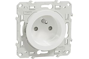 Schneider Electric - Odace prise de courant 2P+T blanc, à vis, 2 connexions rapides par pôle - S520059