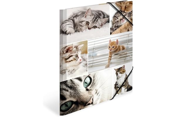 HERMA Chemises à élastique Animaux avec motif Chats, A4, carton robuste, avec impression intérieure, 1 porteé de chemise