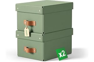 Leitz Puro, Set di 2 Scatole portaoggetti piccole con Coperchio, Resistenti, Impilabili, Compatibili con mobili a Cubo e Ripiani, per Casa e Ufficio, Capacità 7 litri, 20 x 28 x 15 cm, Verde Malva