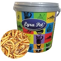 Lyra Pet® 10 L (Liter) Mehlwürmer 10000 ml getrocknet Fische Nager Futter im Design Eimer
