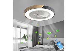 LANMOU Lampe de Plafond de Ventilateur avec Éclairage LED, 52cm Silencieux Ventilateur de Plafond avec Lampe et Télécommande/APP, Créative Lumière de Ventilateurs Moderne pour Chambre Salon, Noir