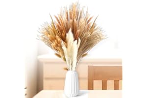 WDJLNZB 130 Piezas Natural Pampas Secas Decoracion, Ramo Plumas Flores Secas Decoracion, Hierba de Pampa Esponjosas para Decoracion Boho Fiestas Boda Hogar Salon