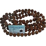 Maalavya Wooden 5 Mukhi Rudraksha Mala, Small, 12mm Beads with Certificate