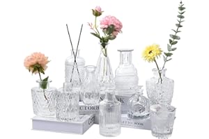 HYCKee Bud Vases Set of 10,Glass Vase in Bulk for Flowers for Centerpieces, Small Vase for Rustic Wedding Decorations, Mini Vases,Clear Vases for Table Decor, Single Flower Vase for Living Room