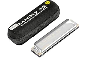 East Top Lucky 13 Bass Plus Blues Harmonica 13 trous diatonique Harpe bouche pour instruments de musique professionnels PaddyRichter Harmonica en G pour adultes