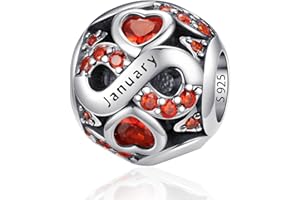 LNQOBU Charme de Naissance pour Bracelets Charms de Perles en Argent Sterling 925 charmes de pour Bracelets et Colliers