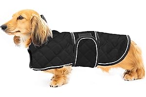 Ctomche Dachshunds Jacket,Sport Waterproof Dog Jacket Winter Warm Large Dachshunds Coat,Reflective Safey Dog Vest Windproof Waterproof Reversible Dog Coat for Dachshunds Black-L