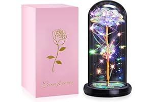 HADSOMUN Ewige Rose im Glas mit Lichter Frauen Künstliche Blumen Rosa Geschenke für Weihnachten Jubiläum Valentinstag Mama Freundin Oma-1 Stück