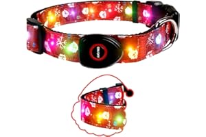 JIARUI Christmas Light Up Dog Collar, LED Rechargeable Flashing Dog Collar, 3 Flashing Modes Glow Dark Dog Collars for Night Walking for Medium Large Dogs (Red, M)