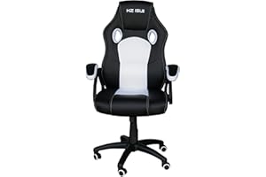 KZ ISU Gaming Chair, Mesh Backed for Comfort Height Adjustable (White)