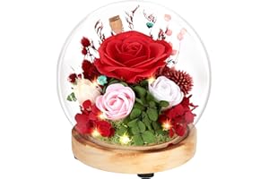 FAYODO Eternal Rose in Glass with Light, 3 Infinity Roses Gifts for Women, LED Glass Rose Gift for Mum, Wife, Grandma, Girlfriend, Daughter for Mother's Day, Valentine's Day, Birthday Gifts for Mum