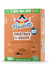 Cristaux De Soude Nettoyant Multi-usage Blanc 480 G - FABULOUS