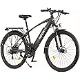 Nilox, E-Bike X7 Plus, Trekking Bike con Pedalata Assistita, 80 km di Autonomia, Fino a 25 km/h, Motore 36 V 250 W, Batteria 