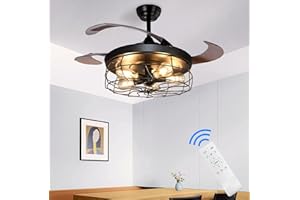 DINGLILIGHTING Depuley Plafonnier avec Ventilateur,Ventilateur de Plafond Industriel avec 3 Pales Rétractables,Télécommande,Utilisé dans la Cuisine, le Salon, Ampoule Edison (Non Incluse), Noir