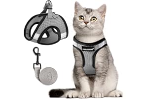 FAYOGOO Katzengeschirr Katzenleine Geschirr für Katzen, Katzengeschirr mit Leine AusbruchsicherVerstellbares Katzen Geschirr Kontrollierende Atmungsaktive Katzenleine mit Reflektierenden Streifen