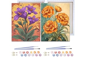 Reofrey Dipingere con i numeri, adulti con cornice, 2 pezzi fai da te, kit per pittura a olio, tela 20 x 30 cm, con pennello e vernice acrilica, dipingere con i numeri, per principianti e anziani