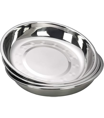 Assiette Camping En Acier Inoxydable 28cm - Vaisselle Extérieur Résistante