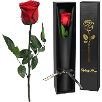 Ewige Rose In Amor-Box - Konservierte Echte Rose, Geschenk Für Sie Zu Valentinstag & Jahrestag