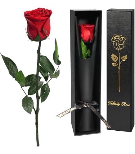 Mere Noel Femme Rose éternelle Yamonic - Vraie Rose Préservée En Coffret Cadeau Pour Femme - Saint-Valentin, Fête Des Mères Cadeau Femme Saint Valentin Mere Noel Femme Rose éternelle Yamonic - Vraie Rose Préservée En Coffret Cadeau Pour Femme - Saint-Valentin, Fête Des Mères Cadeau Femme Saint Valentin