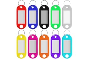 MRCHEN Llaveros, 100 Pieza Llaveros Baratos, Llaveros Plastico con Etiqueta, Identificador Llaves con Hebilla, Etiquetas Llaves Adecuado para Tarjetas de Identificación de Mascotas Etiquetas de Nombre