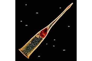 Melodies Of Atonement