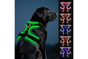 Joytale Harnais Lumineux Rechargeable pour Grands Chien, Harnais LED Anti-Traction Chien réglable réfléchissant avec poignée, pour Promener la Nuit, Vert, L