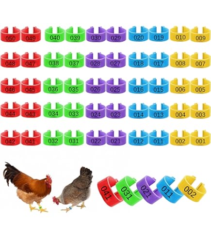 Anelli Per Zampe Pollame Kingrun - 100 Pezzi Numerati E Colorati, Per Galline, Anatre, Quaglie E Piccioni - Foto 6