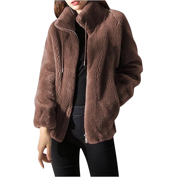 Overgangsjas voor dames, lang met capuchon, teddy, fleecejack met capuchon, pluche jas, oversized Y2K winterjas, wollig, knuffeljas, capuchon, vrijetijdsjas, tienermeisjes, college-jas, zwart, XL Overgangsjas voor dames, lang met capuchon, teddy, fleecejack met capuchon, pluche jas, oversized Y2K winterjas, wollig, knuffeljas, capuchon, vrijetijdsjas, tienermeisjes, college-jas, zwart, XL