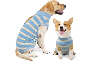 HEYWEAN Body Post operatorio Cane Femmina Maschi Tutina Cane Vestito di Recupero per Cani Tuta Chirurgico Cane Body per Cani Post Intervento Alternative ai Cono e Collare elisabettiano Cane
