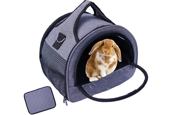 Trasportino per porcellini d'India, per conigli, criceti, uccelli, conigli, draghi, gattini, ecc. Borsa per animali Con manico stabile e cuscinetto impermeabile, Facile da viaggiare e visitare il