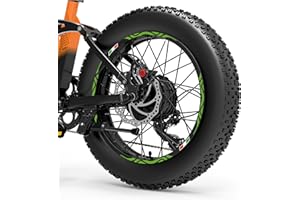 DualColorStampe Adesivi Cerchi Bici FAT BIKE 20'' Pollici Ruota Bici accessori Fat bike MTB Stickers Cerchi BANDIERA ITALIANA COD. B0128 (LIME 64)