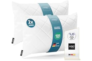 LILENO HOME Juego de 2 rellenos de cojín de 40 x 60 cm – 95 °C, lavable, apto para alérgicos, relleno de poliéster como cojín de sofá, cojín de cóctel y almohada