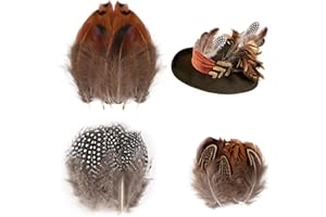 Deepton 300 Stück 3 Stil Federn Braun, Natürliche Federn zum Basteln, Federn Basteln Fasanenfedern, Bastelfedern Deko, Indianer Feder Für DIY DEK Ostern Maske Traumfänger Basteln(5-9cm)